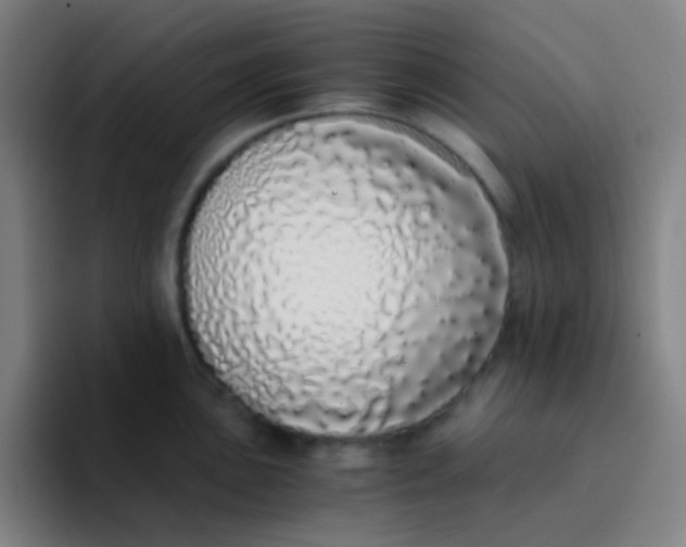 X0000094321051200711161925