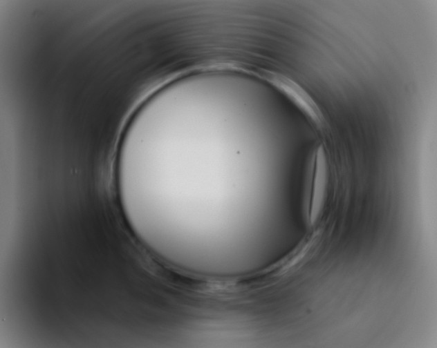 X0000094321052200711161925