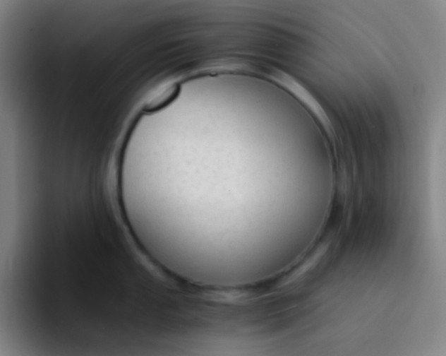 X0000094321053200711161925