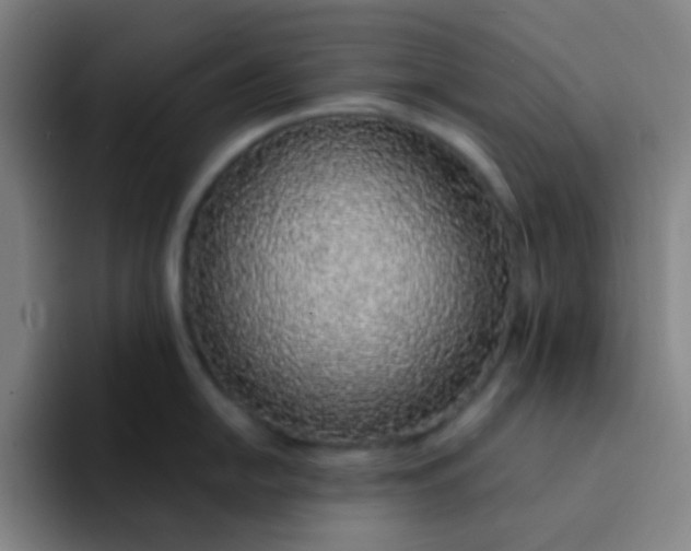 X0000094321054200711161925