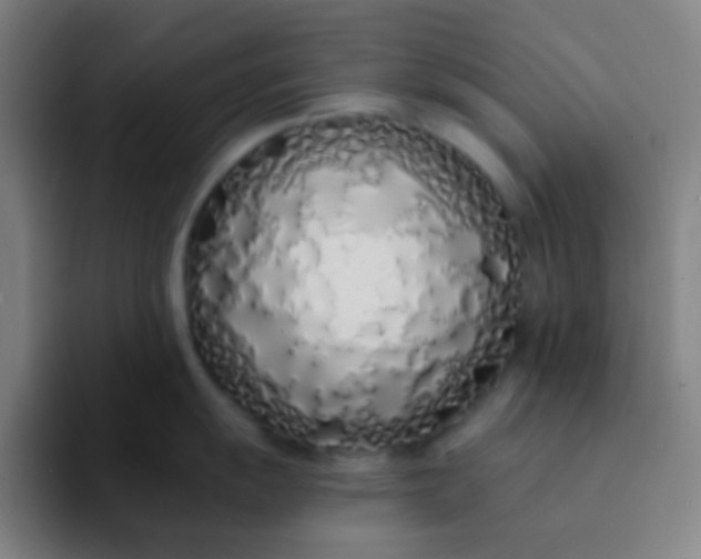 X0000094321055200711161925