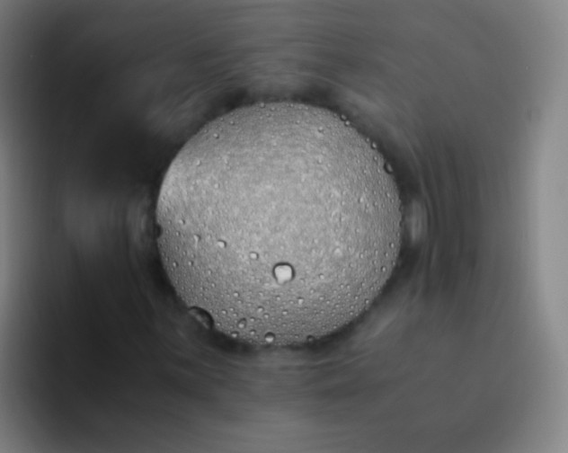 X0000094321059200711161925