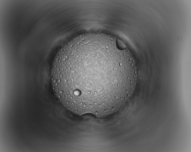 X0000094321063200711161925
