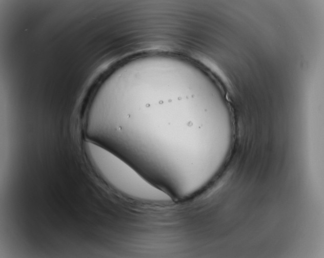 X0000094321067200711161925