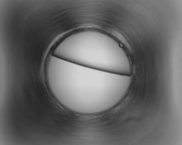 X0000094321068200711161925