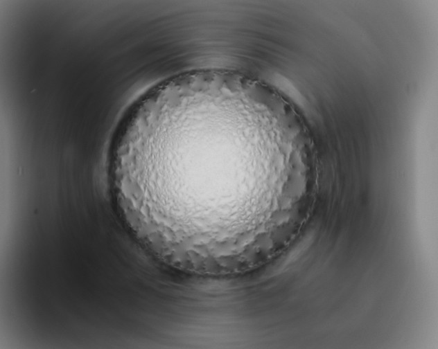 X0000094321071200711161925