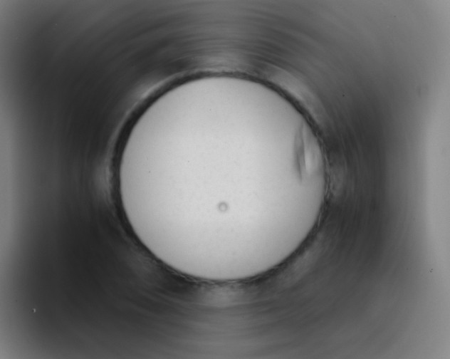 X0000094321074200711161925