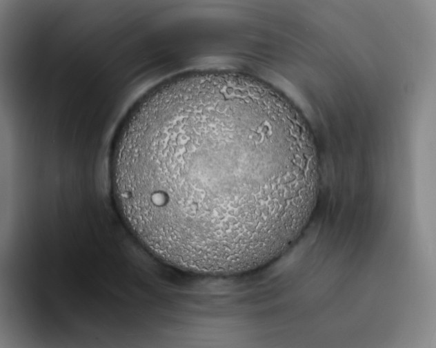 X0000094321075200711161925