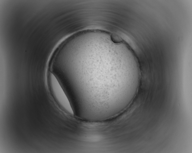 X0000094321076200711161925