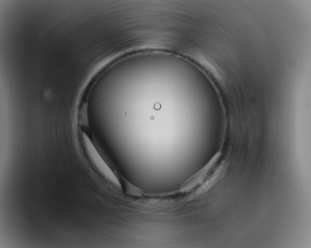 X0000094321077200711161925