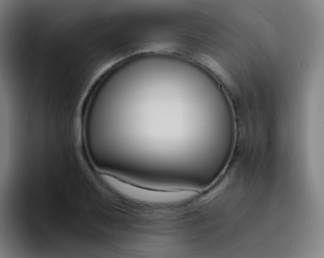 X0000094321079200711161925