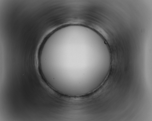 X0000094321080200711161924