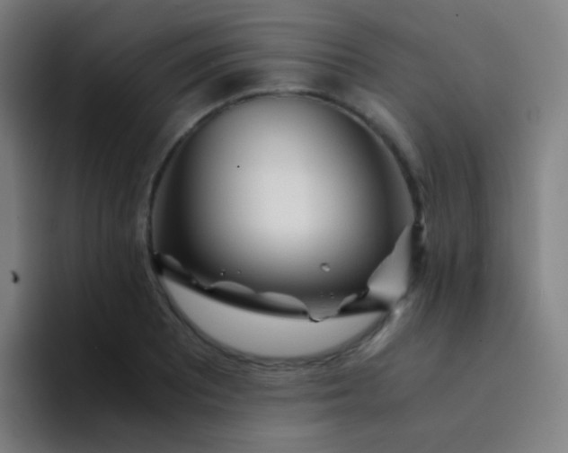 X0000094321081200711161924