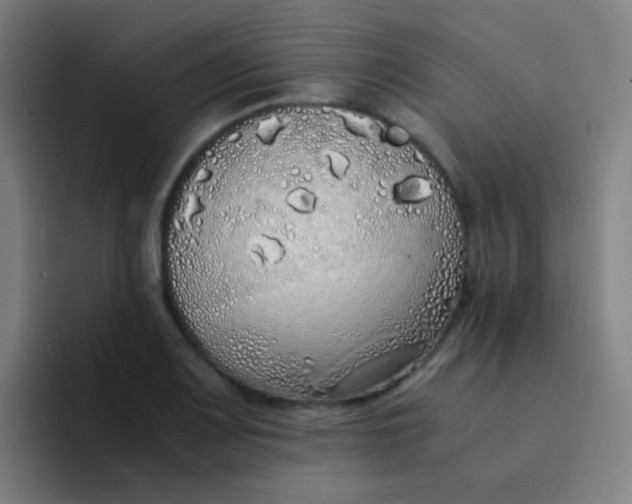 X0000094321083200711161924