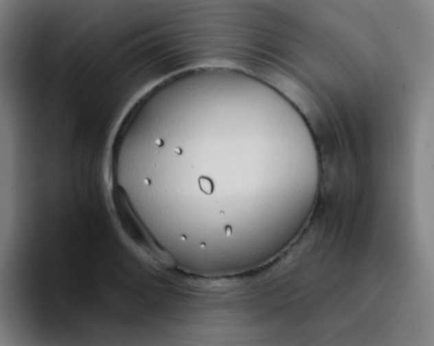 X0000094321084200711161924