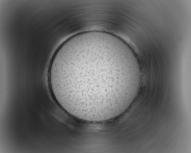 X0000094321086200711161924