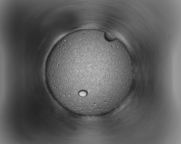 X0000094321087200711161924