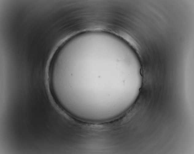 X0000094321088200711161924