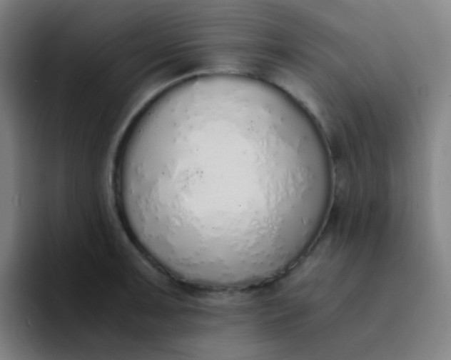 X0000094321091200711161924