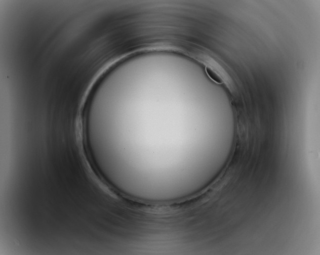 X0000094321092200711161924