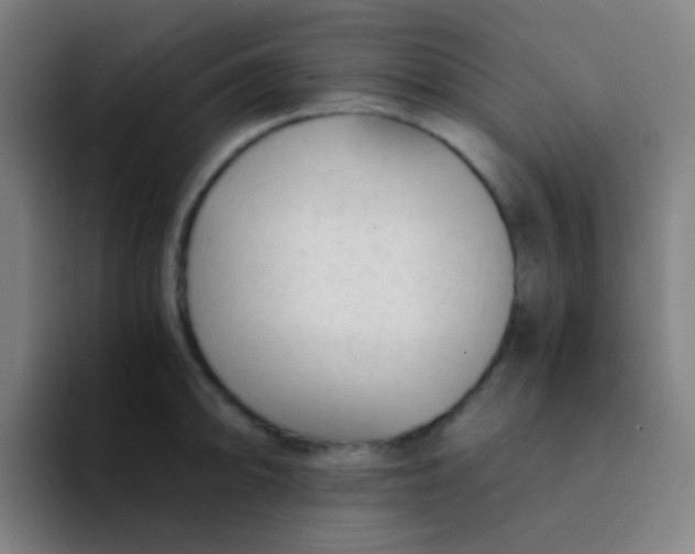 X0000094321094200711161924