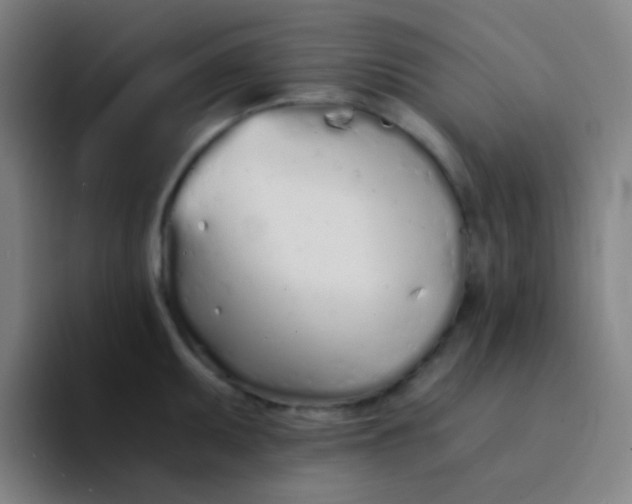 X0000094321095200711161924