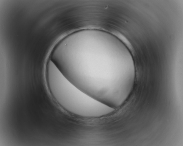 X0000094321096200711161924