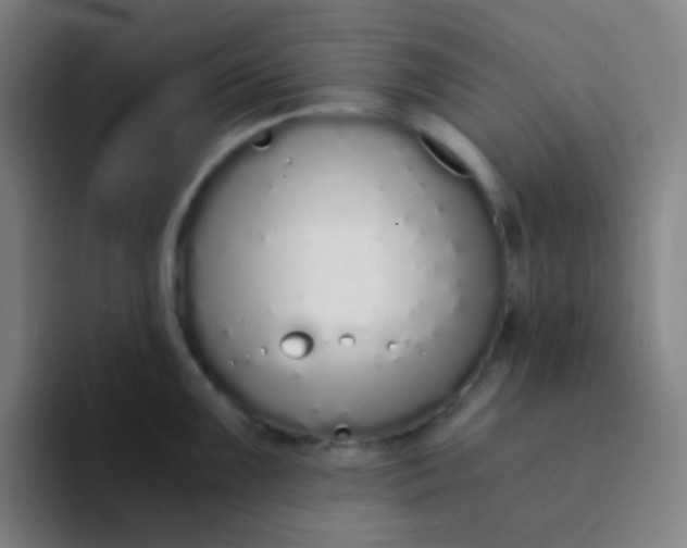 X0000094321099200711161924