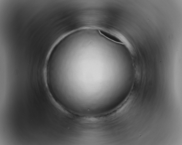 X0000094321100200711161924
