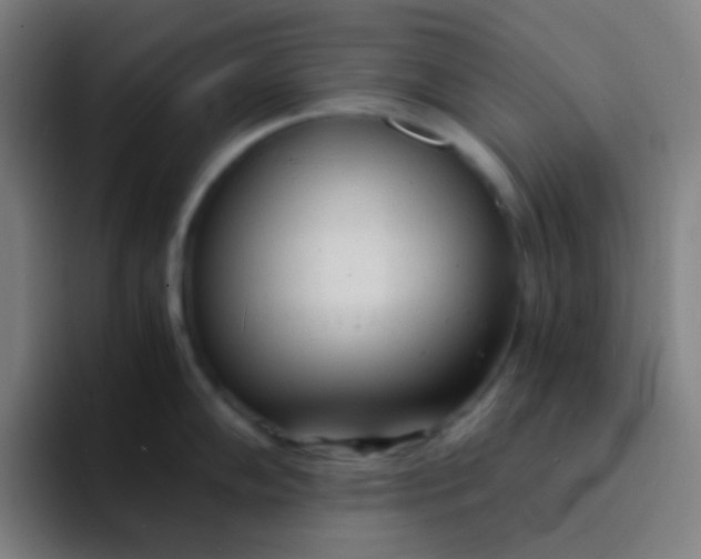 X0000094321102200711161924