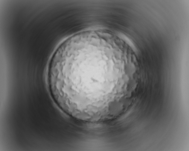 X0000094321103200711161924