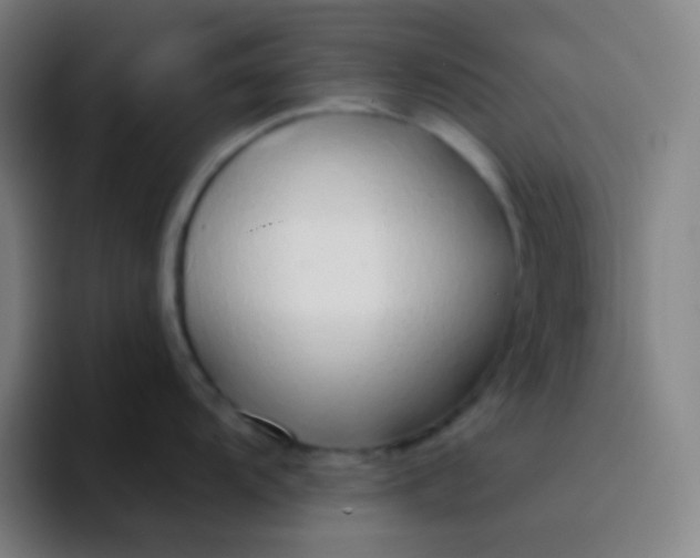 X0000094321104200711161924