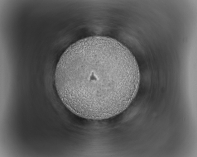 X0000094321105200711161924
