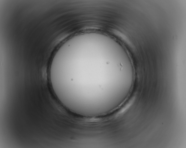 X0000094321113200711161924