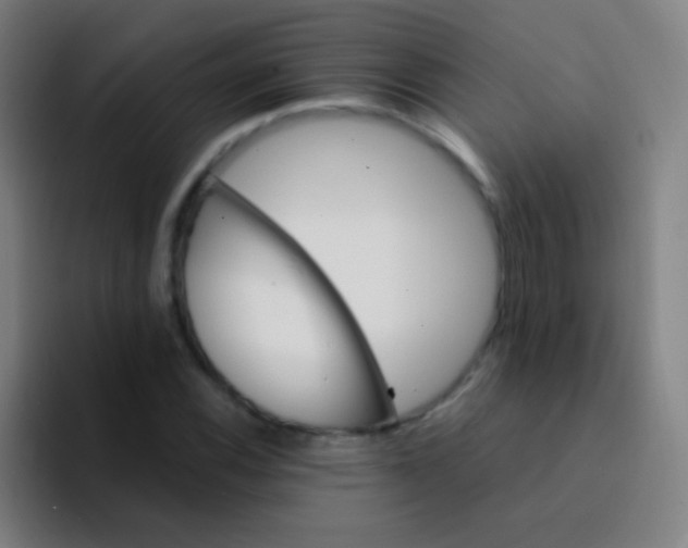 X0000094321116200711161924