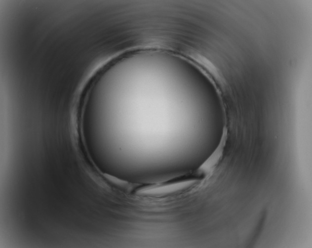 X0000094321120200711161924