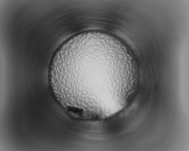 X0000094321121200711161924