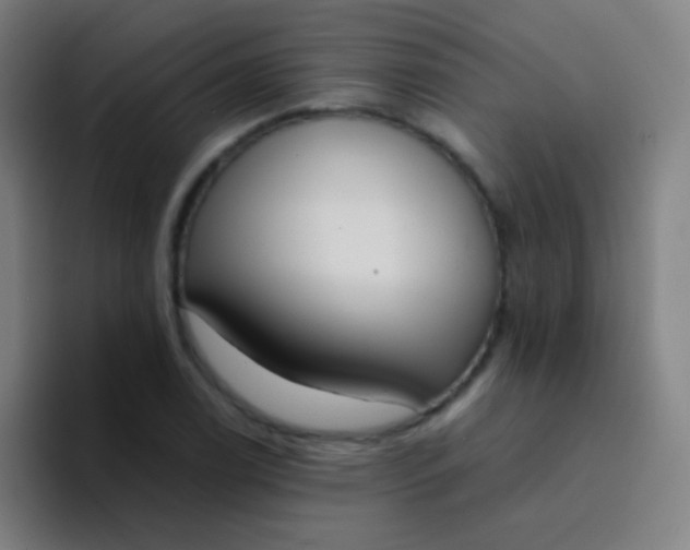 X0000094321122200711161924