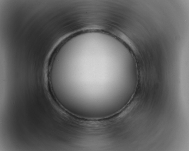 X0000094321124200711161924