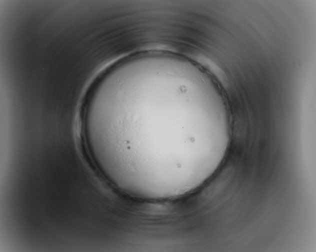 X0000094321125200711161924