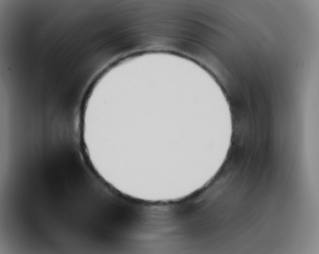 X0000094321126200711161924