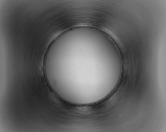 X0000094321129200711161924