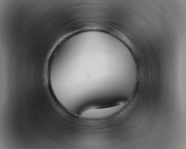 X0000094321132200711161924