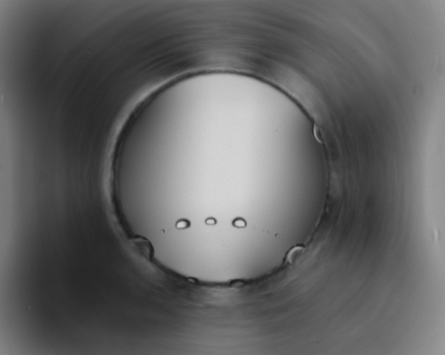 X0000094321136200711161924