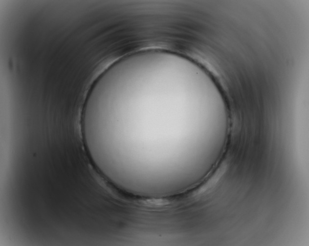X0000094321137200711161924