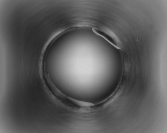 X0000094321138200711161924