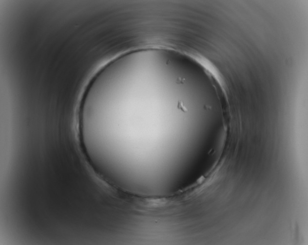 X0000094321144200711161924
