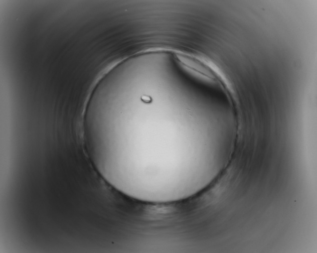 X0000094321145200711161924