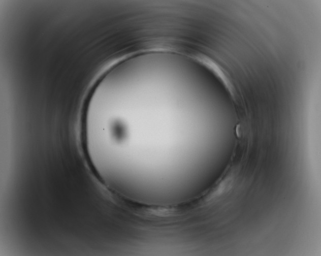 X0000094321147200711161924