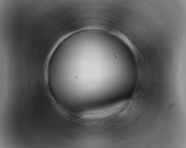X0000094321148200711161924
